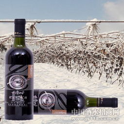 紫隆山紅寶石冰酒 品味時光凝萃，共創財富未來——通化紫隆山葡萄酒廠火熱招商